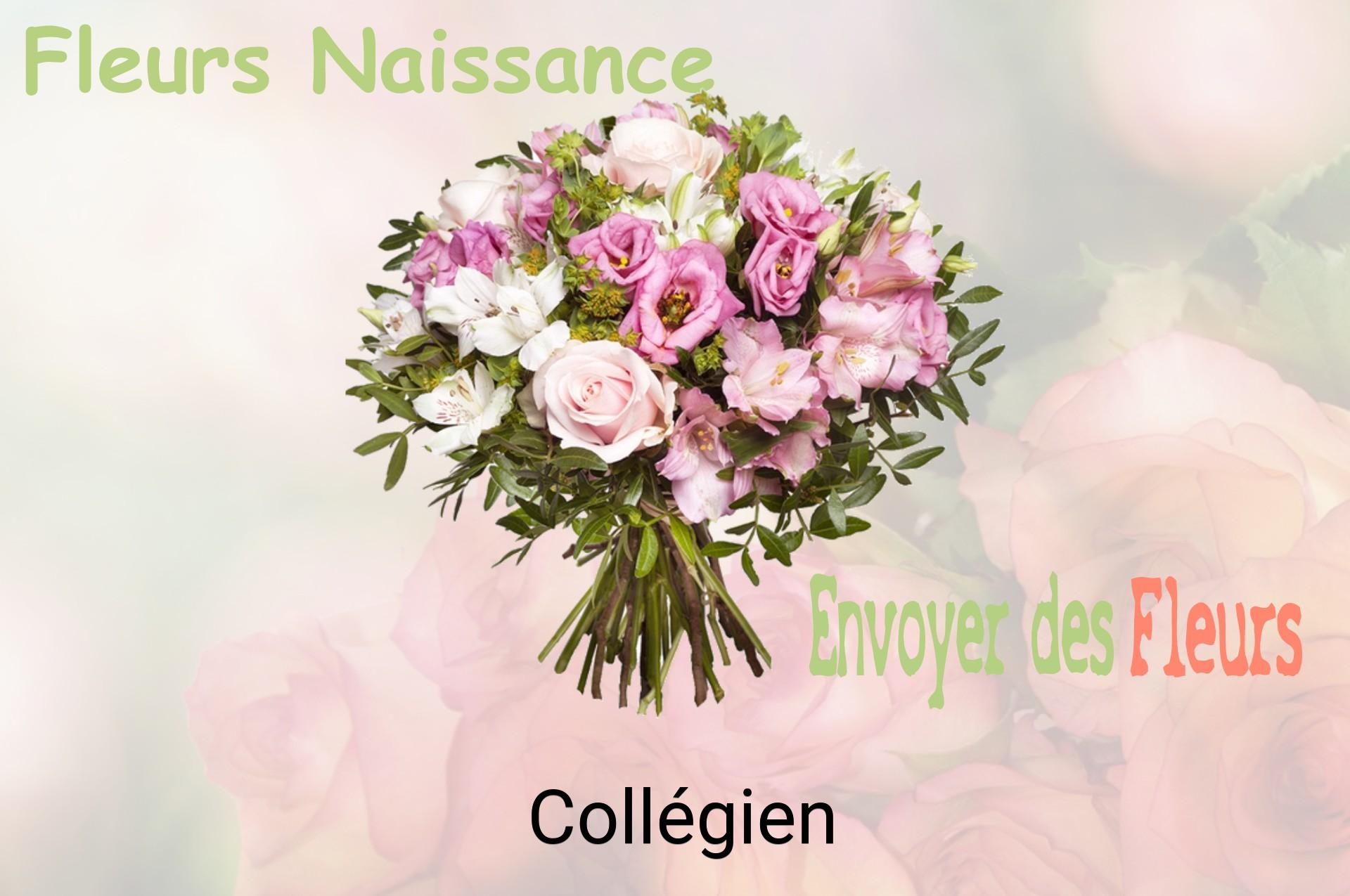 Bouquet de fleurs de naissance livré à Collégien